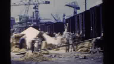 Japan (1953): Men Working Carrying Bags Of Sand While A Bucket Crane Sweeps Over