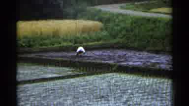 Japan (1953): Man Working At The Farm By A Road Planting Seeds