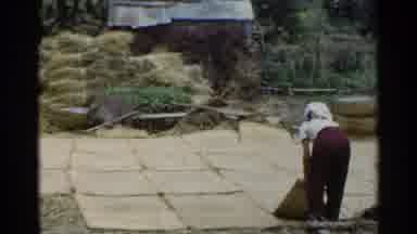 Japan (1953): Woman Working With Cloth Or Leathers That Are Drying