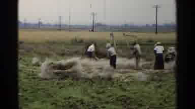 Japan (1953): Some Peoples Working