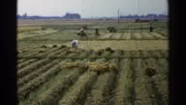 Japan (1953): The People Working With The Land