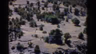 California (1955): Dry And Rocky Region And Families Swimming In The Lake Or Sea