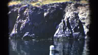 California (1955): Shoreline Moving Current Difficult To Climb Onto Land Tall
