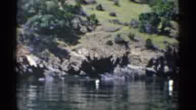 California (1955): Green Covered Hills Next To Water With White Objects In It