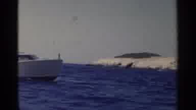 California (1955): A Medium White Speedboat Crossing The Sea At High Speed