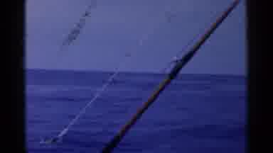 California (1955): Blonde Small Child Fishing In A Large Body Of Water Near Rock