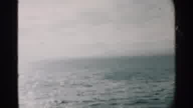 Pearl Harbor Hawaii (1958): Ocean Birds More Animals