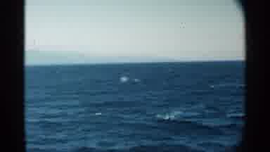 Pearl Harbor Hawaii (1958): A Beautiful Clip Of A Large Clear Blue Body Of Water