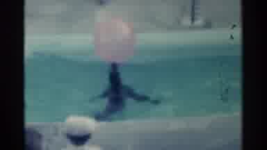 Pearl Harbor Hawaii (1958): Seal Having Fun Playing With Her Ball In Front Of The