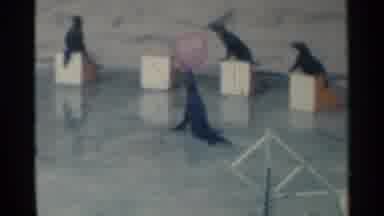 Pearl Harbor Hawaii (1958): A Very Cute Seal Carrying A Ball All The Way Back To