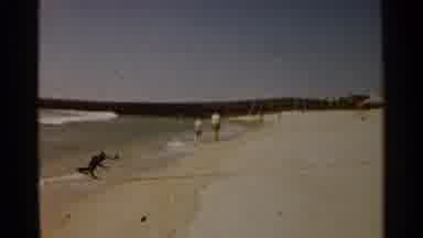 San Francisco (1959): Two People Are Walking Along The Beach Along The Sand On A
