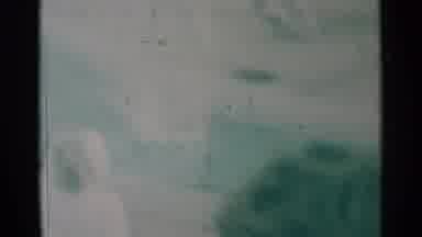 South Dakota (1959): Trained Seals Perform Water Tricks For Crowd Of People