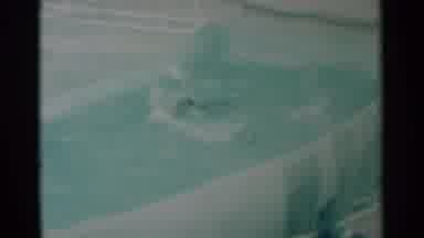 South Dakota (1959): Seal Swimming Fast And Jumping Out Of The Water At A Zoo