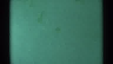 South Dakota (1959): A Pair Of Ducks Swimming In Water On A Clear Day