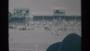 Cheyenne Wyoming (1960): Brown Horse Galloping And Bucking A Cowboy At A Rodeo