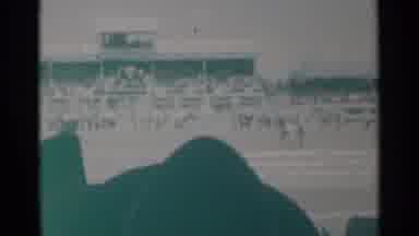 Cheyenne Wyoming (1960): A Bunch Of Horses All Running Along Next To Each Other