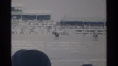 Cheyenne Wyoming (1960): Horses Are Gathered In An Area To Warm Up For Their Race