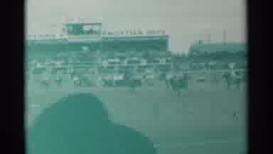Cheyenne Wyoming (1961): A Bunch Of Horses All Getting Ready To Participate In A