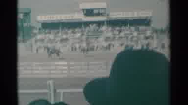 Cheyenne Wyoming (1961): A Bunch Of Horses All Getting Ready To Participate In A