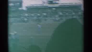 Cheyenne Wyoming (1961): Horses All About To Partake In A Sporting Contest