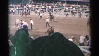 Cheyenne Wyoming (1961): Man Wearing White Shirt Rides Bronco At Rodeo On A Sunny
