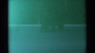 Cheyenne Wyoming (1961): A Wild Animal Made At Night With Poor Visibility