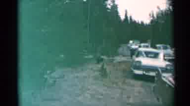 Cheyenne Wyoming (1961): People Are Watching And Filming A Bear Family In The