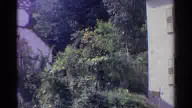 Germany (1961): Green Landscape House With Old Car In Front