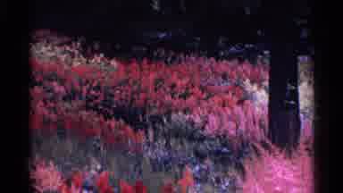 Switzerland (1961): Sweeping Pink Flowers And People In Forested Park