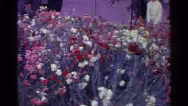 Switzerland (1961): Old People On Train Ride Through Flowery Garden