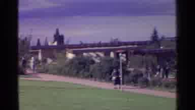 Switzerland (1961): A Bunch Of People All Walking On Paths Within The Forest