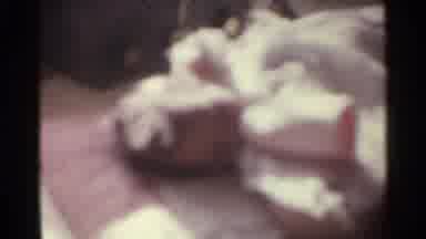 Kentucky USA (1963): White Brown And Grey Objects On A Wooden Display