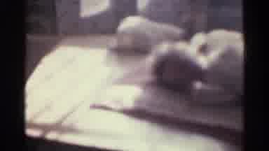 Kentucky USA (1963): The Guard Dog Protecting The Baby On His Crib Upstairs