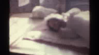 Kentucky USA (1963): A Baby In A Bed Waking Up In The Sunlight