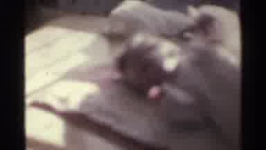 Kentucky USA (1963): Baby Waking In Bed