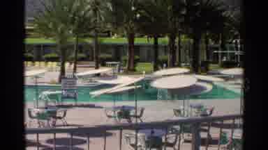 Scottsdale Arizona (1968): Beautiful Poolside With Luscious Psalm Trees And