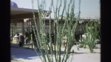 Scottsdale Arizona (1968): A Sweet Cooing Garden Inside A Sea Side House With Lots