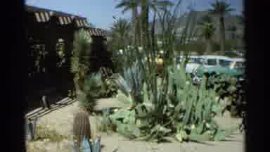 Scottsdale Arizona (1968): A Sweet Cooing Garden Inside A Sea Side House With Lots