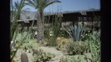 Scottsdale Arizona (1968): Scenic Garden Desert Vegetation And Mountain Skyline