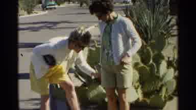 Scottsdale Arizona (1968): A Woman Removes Cactus Needles From The Shorts Of A