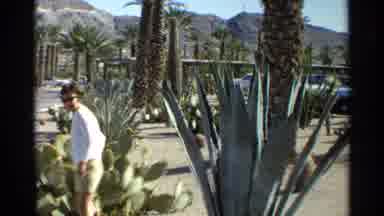 Scottsdale Arizona (1968): The Place Looks Like A Wonderful Park And The Lady