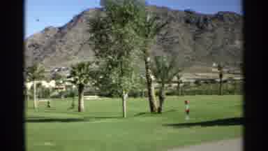 Scottsdale Arizona (1968): A Variety Of Trees On A Green Lawn In A Sunny Southern