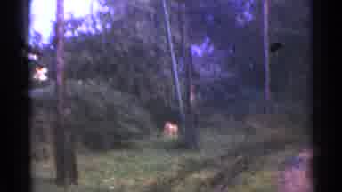 Connecticut USA (1953): Traveling Through The Woods On Train Tracks That Have Been