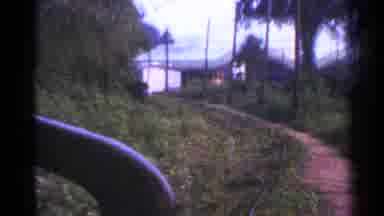 Connecticut USA (1953): Train Journey Through Forest