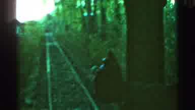Connecticut USA (1953): A Conductors Rides A Train Through Some Trees At A