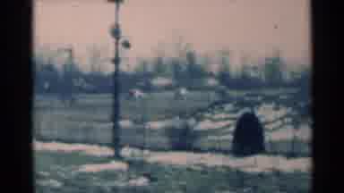 Michigan USA (1939): The A Big Field With Animals Running Through It And There Is