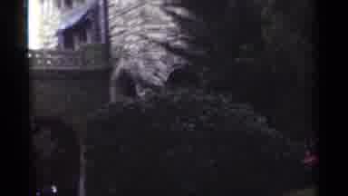 New Orleans Lousiana (1949): Archway And Green Bush On A Cloudy Day