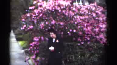 New Orleans Lousiana (1949): Tree With Pink Flowers And Woman And Child Dressed In