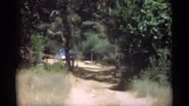 Santa Cruz California (1949): Big Bear Mountain Vacation With Mother