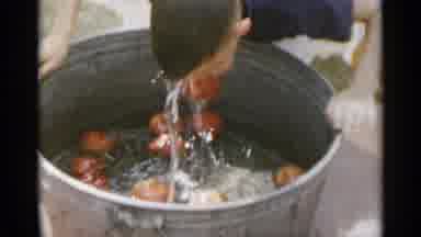 New York USA (1954): Apple Bobbing And A Kissing Booth During A Country Fair In